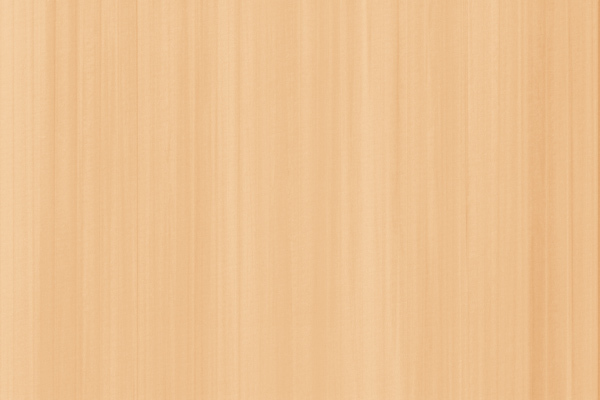 内窓ウチリモ クリア